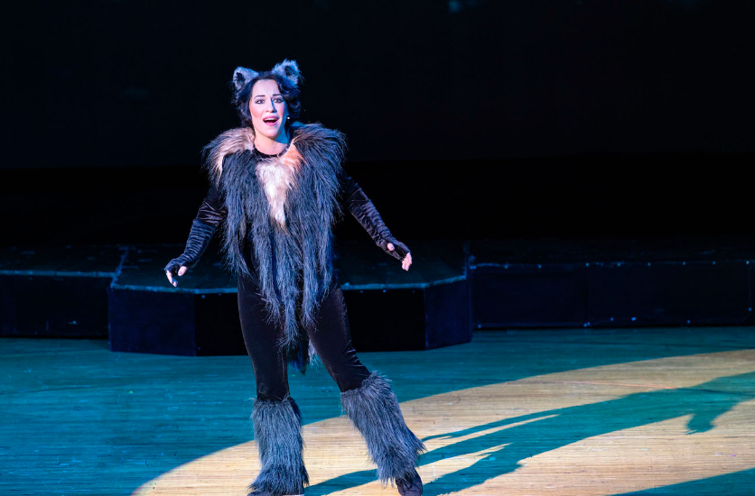 МЮЗИКЛ НА ЧЕРДАКЕ (Театр "Поколение"). Изображение 3