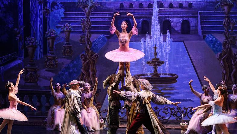 Спящая красавица (РАМТ). Изображение 4