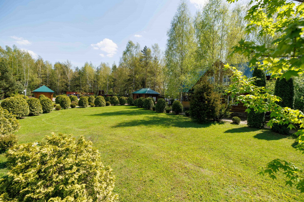 Экологическая экспозиция «Леса России». Изображение 13