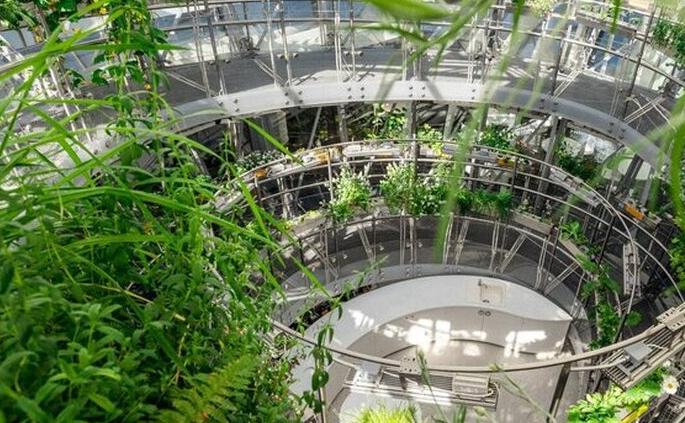 Флора России в аэропонике Флорариума. Изображение 3