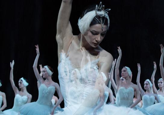 Лебединое озеро (МАМТ). Изображение 6