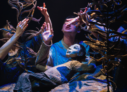 Белый пароход. Изображение 1