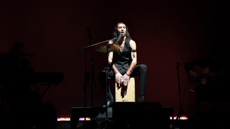 Дрома ромэн. Изображение 4