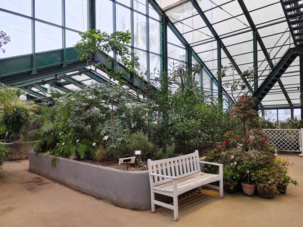 Экскурсии в Аптекарском огороде. Изображение 5