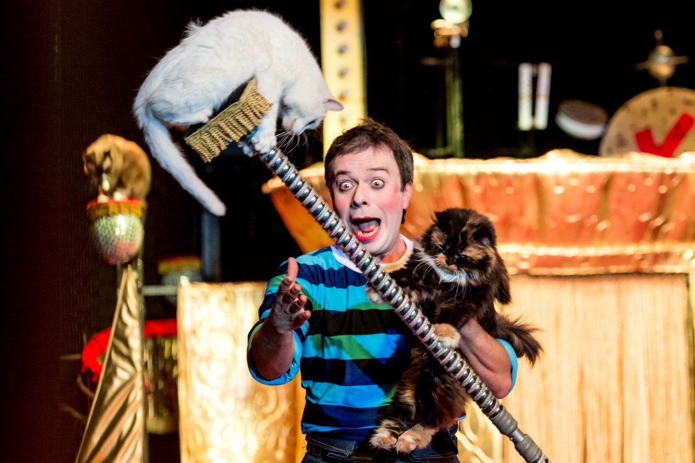 Кэтс шоу. Изображение 7