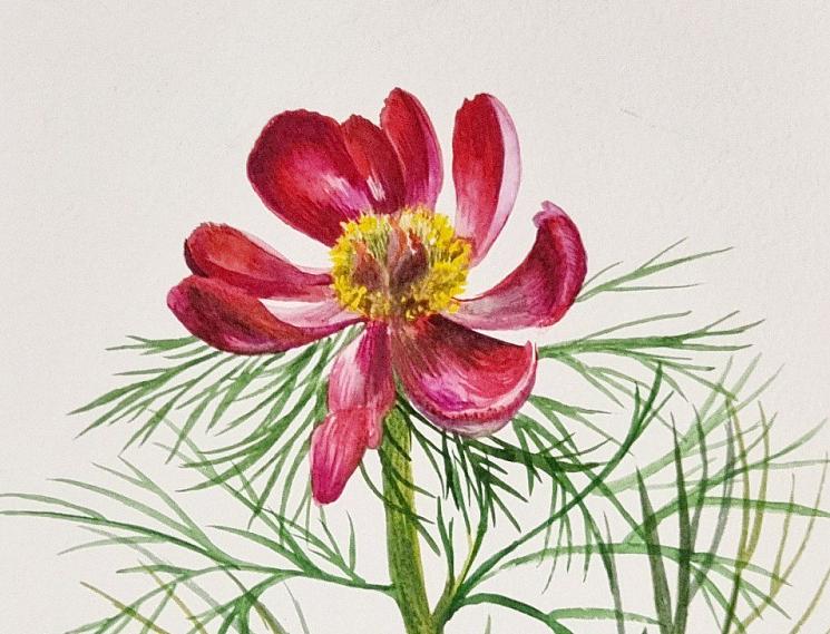 Мастер-классы в павильоне «Книги» РОСИЗО на ВДНХ. Изображение 1