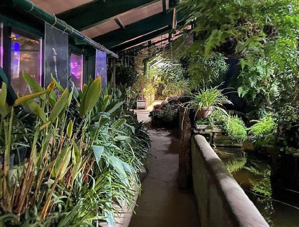 Экскурсии в Аптекарском огороде. Изображение 4