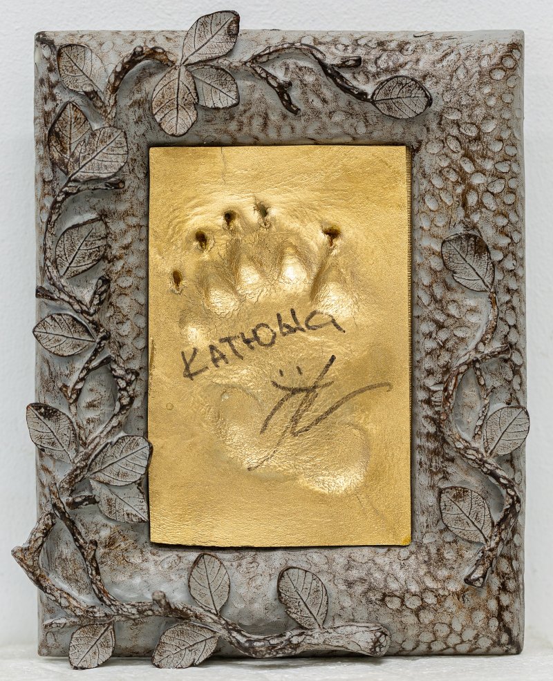 День Панды в Дарвиновском музее. Изображение 3