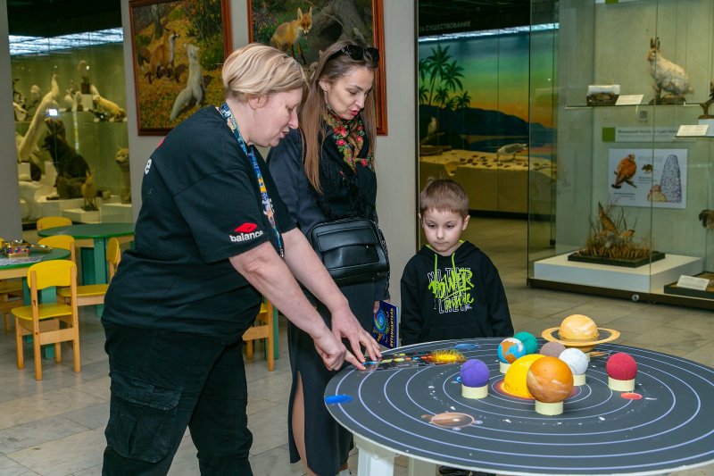 День Солнца в Дарвиновском музее. Изображение 1