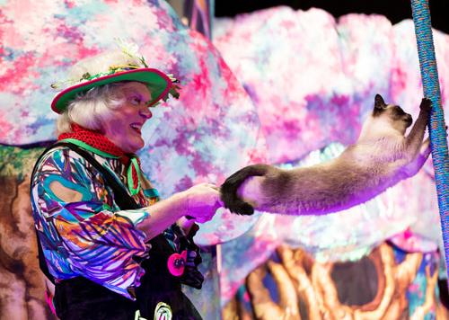 Мяугли. Юрий Куклачёв. Изображение 5