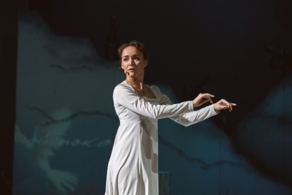 Капитанская дочка (Театр у Никитских ворот). Изображение 1