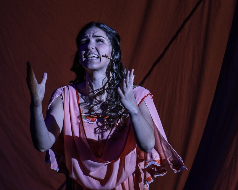 Царь Давид. Изображение 7