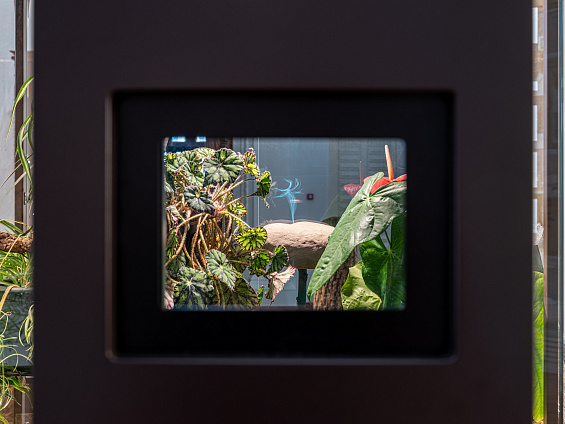 Выставка «12 признаков живого». Изображение 7