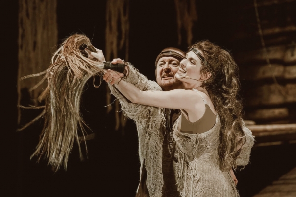 История лошади. Изображение 8