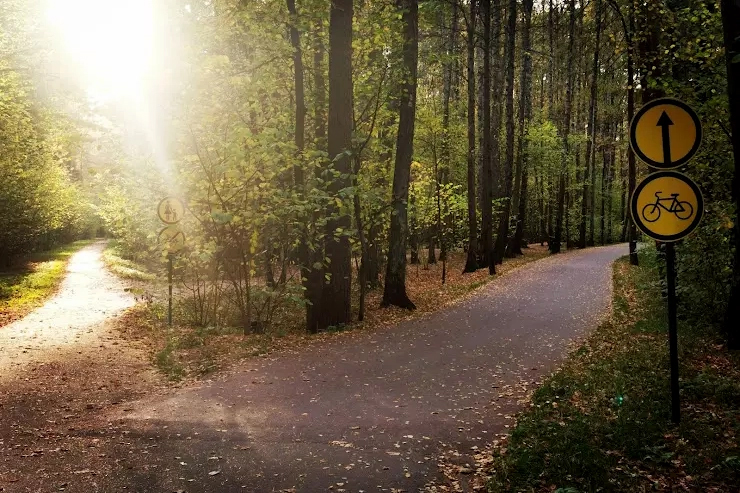 2950408.jpg 2950408.jpg