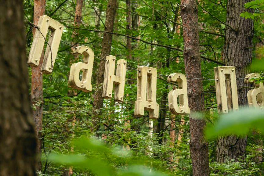 noroot.jpg noroot.jpg