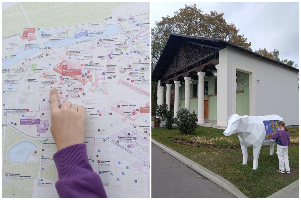 Collage-11.jpg Collage-11.jpg