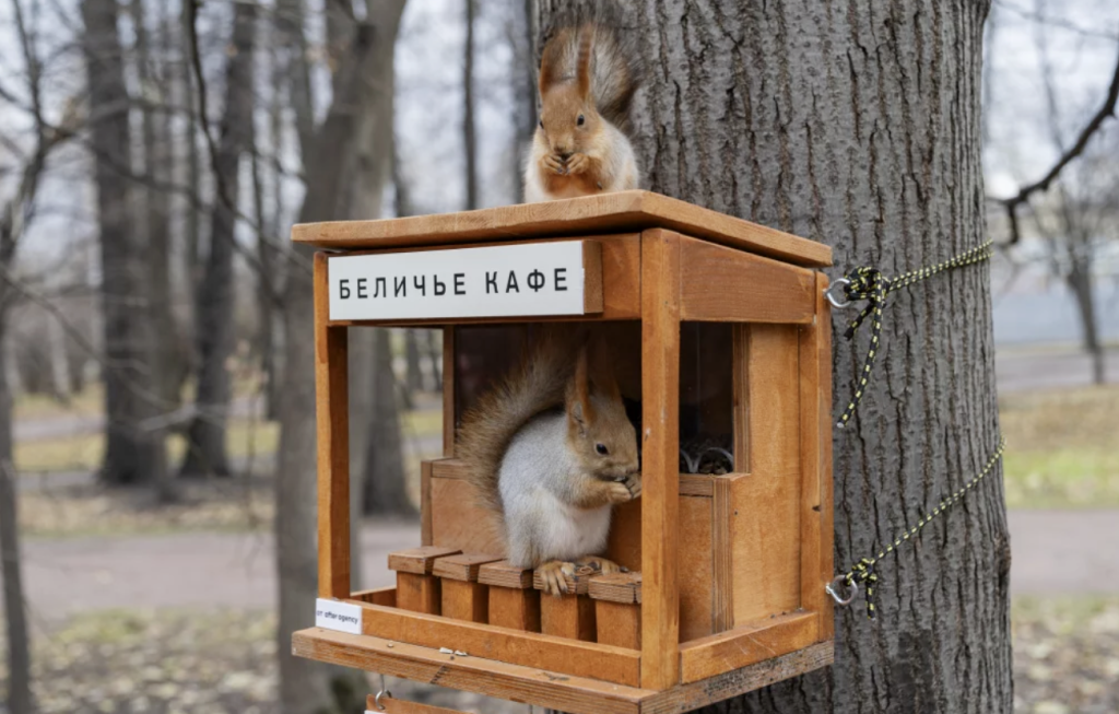 Снимок экрана 2025-10-03 в 15.32.25.png