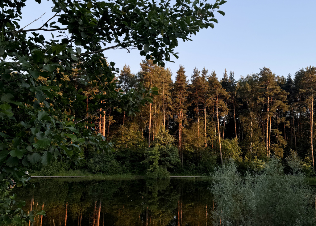 IMG_0536.jpg IMG_0536.jpg