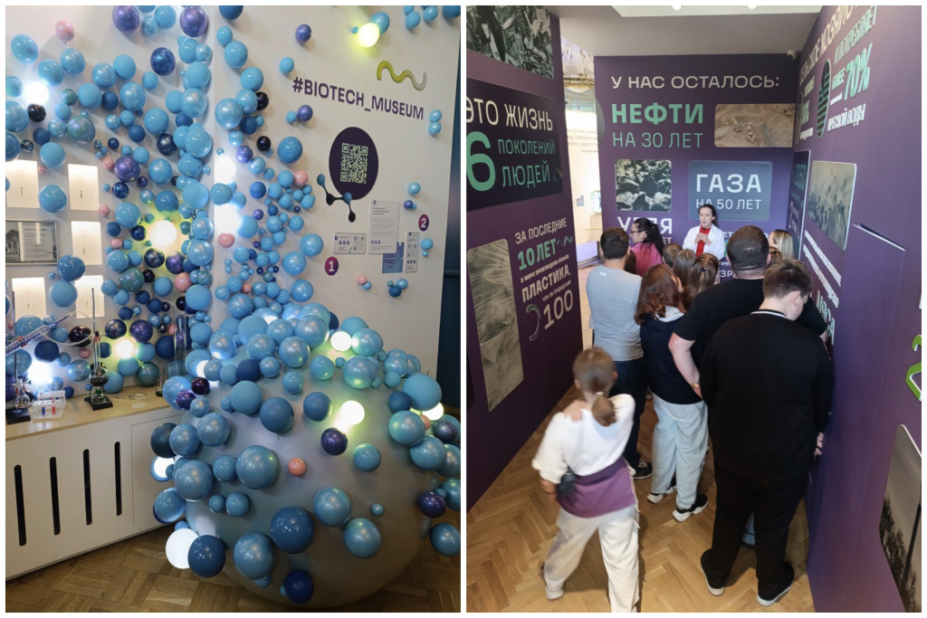 Collage-12.jpg Collage-12.jpg