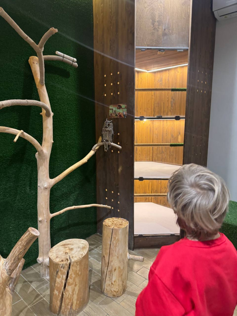 2025-12-26 16.23.42.jpg