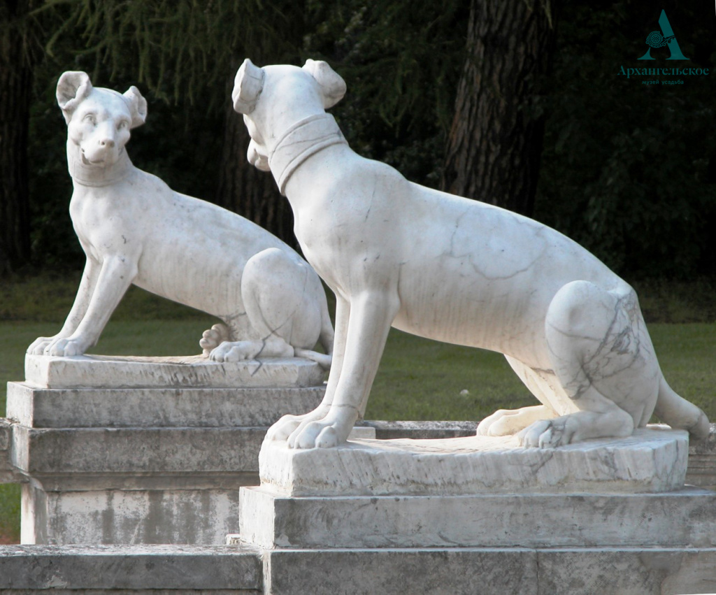 Верхняя терраса (1).jpg