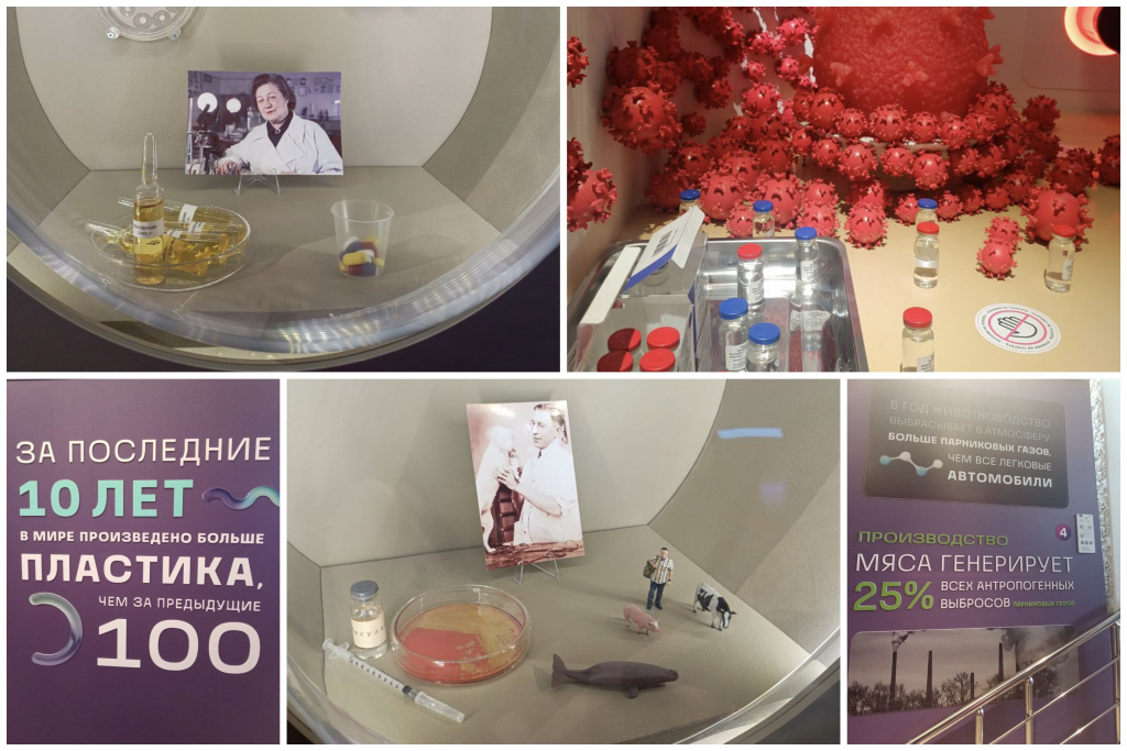 Collage-15.jpg Collage-15.jpg