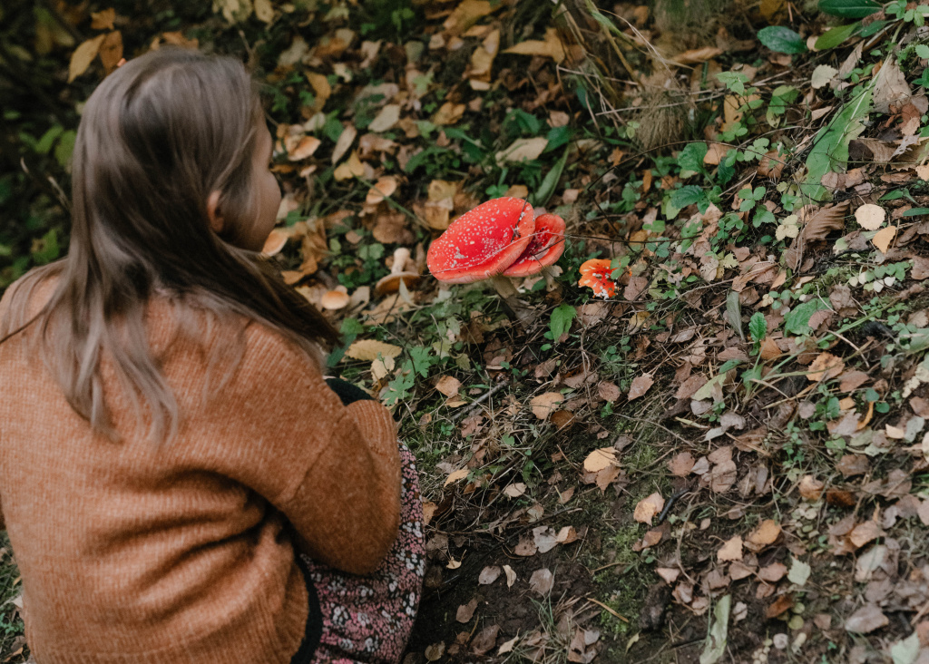 DSC_2636.jpg DSC_2636.jpg