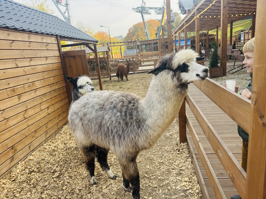 IMG_1272.jpg IMG_1272.jpg