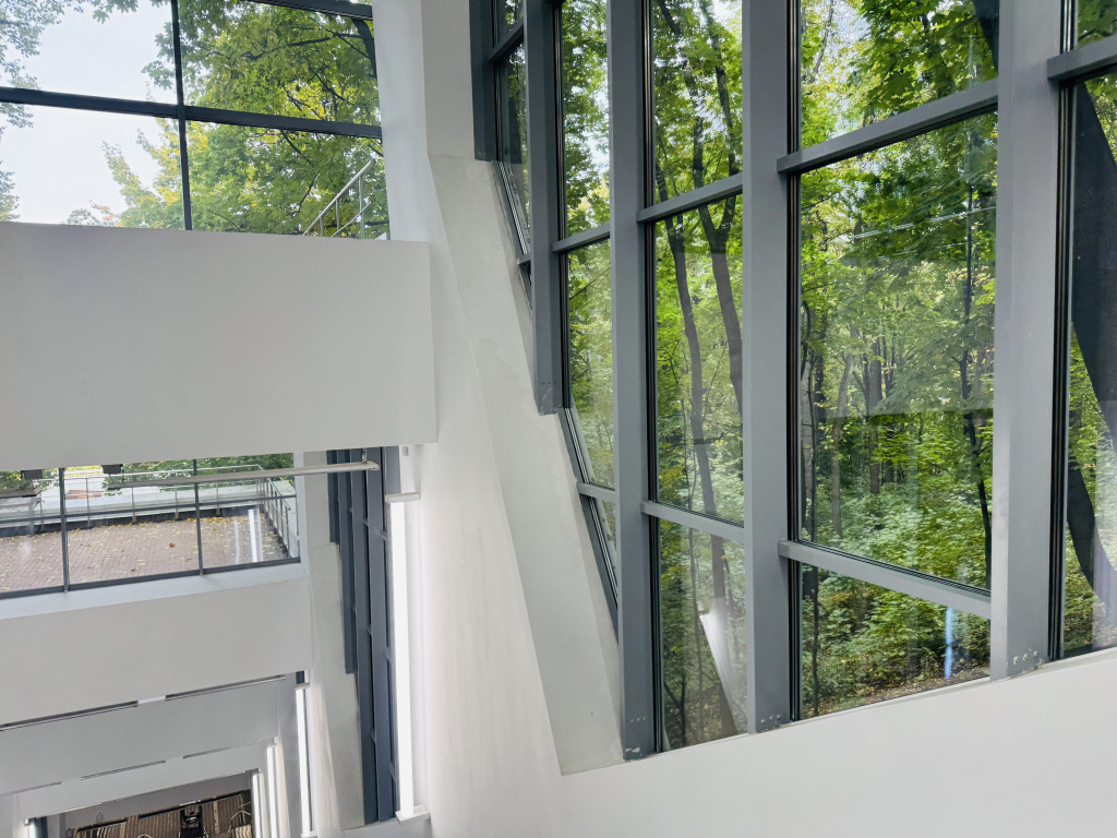 IMG_1331.jpg IMG_1331.jpg