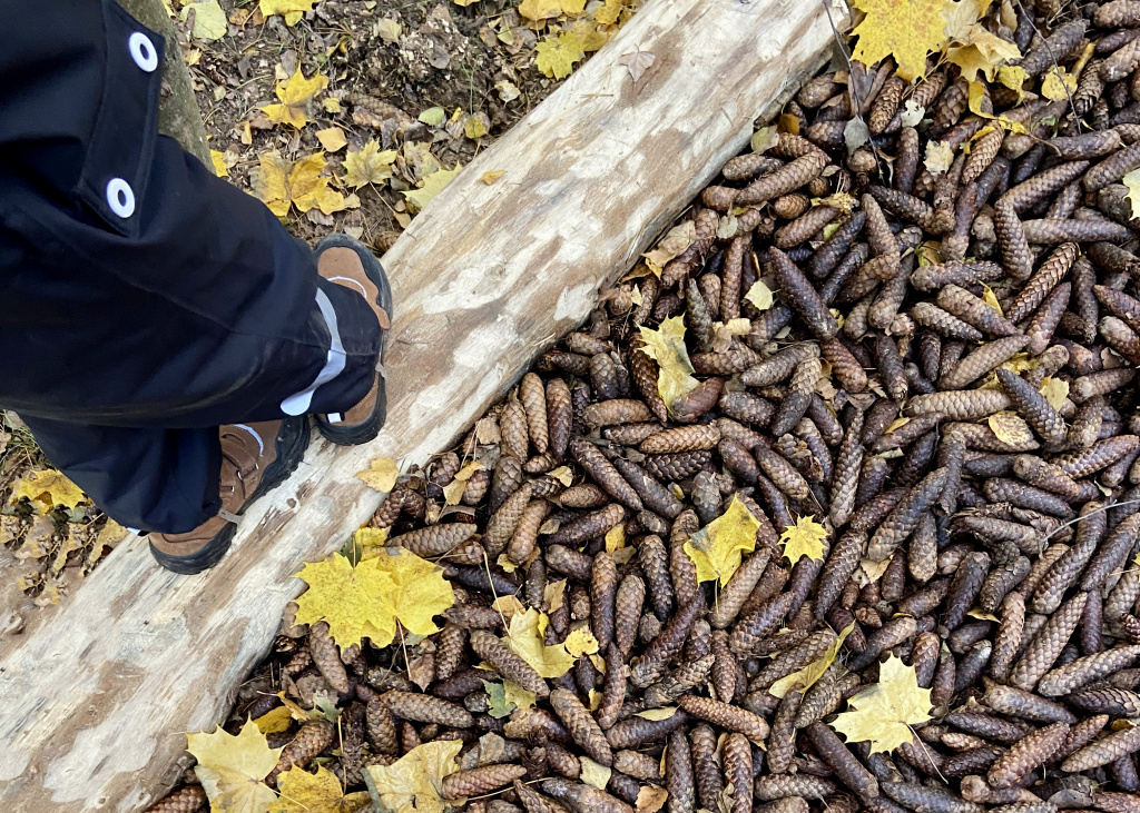 IMG_4562.jpg IMG_4562.jpg