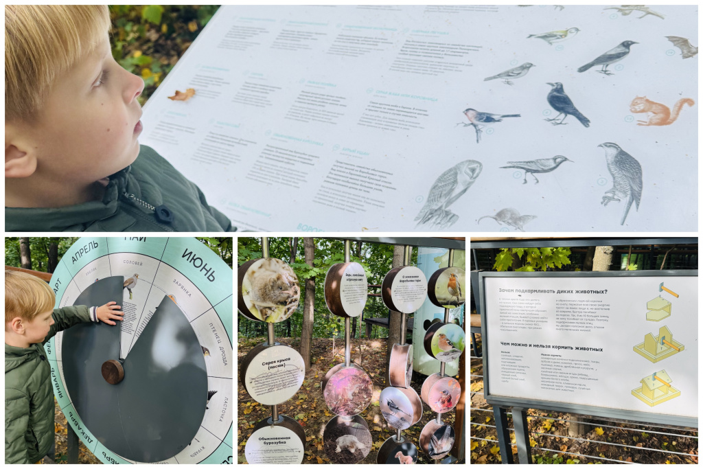 Collage-41.jpg Collage-41.jpg