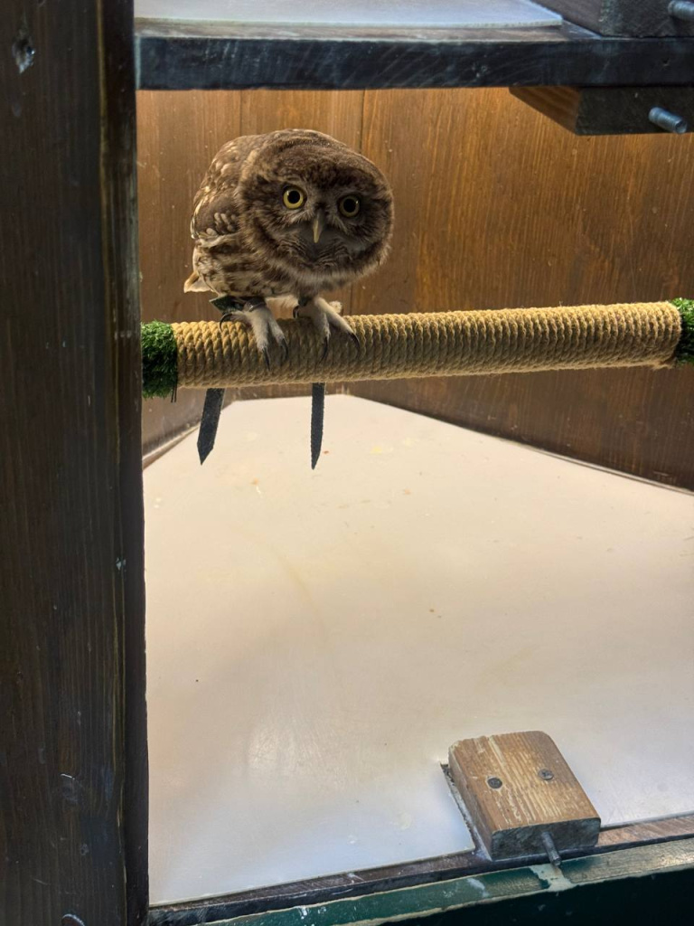 2025-12-26 16.23.48.jpg