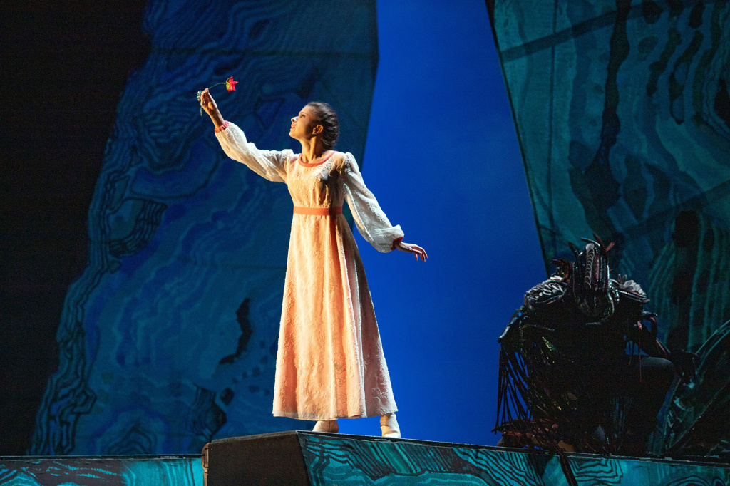 IMG_4235_1.jpg IMG_4235_1.jpg