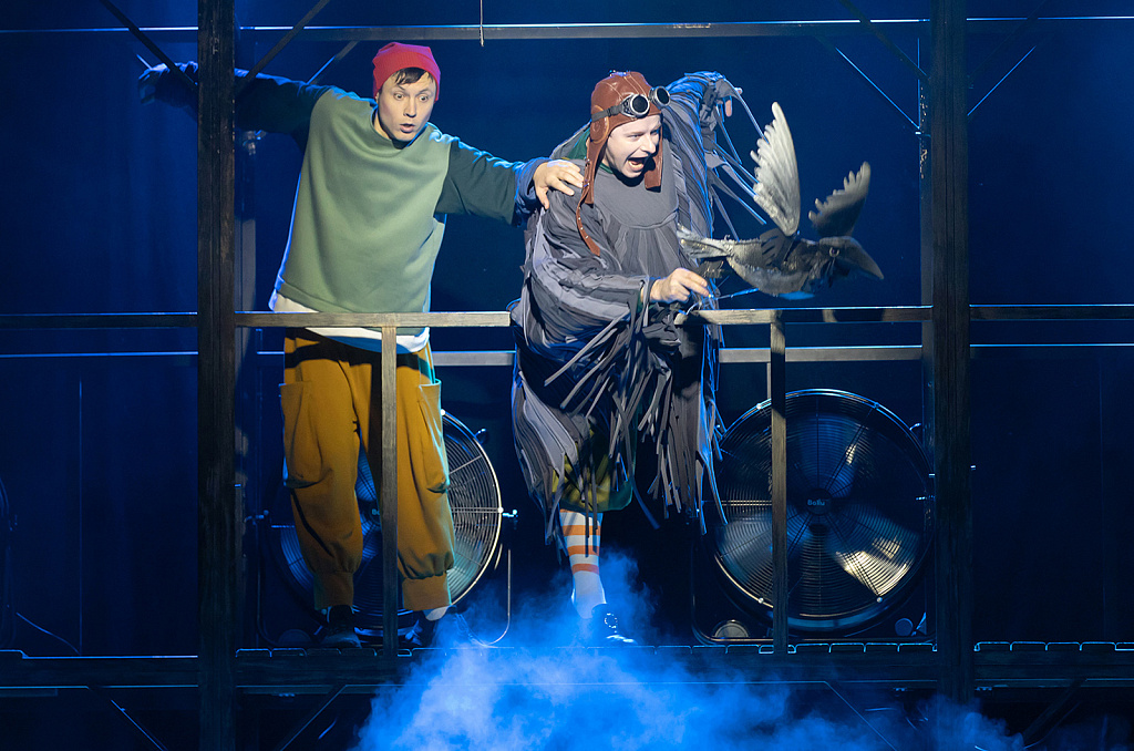 Путешествие Нильса с дикими гусями (МТК). Изображение 11