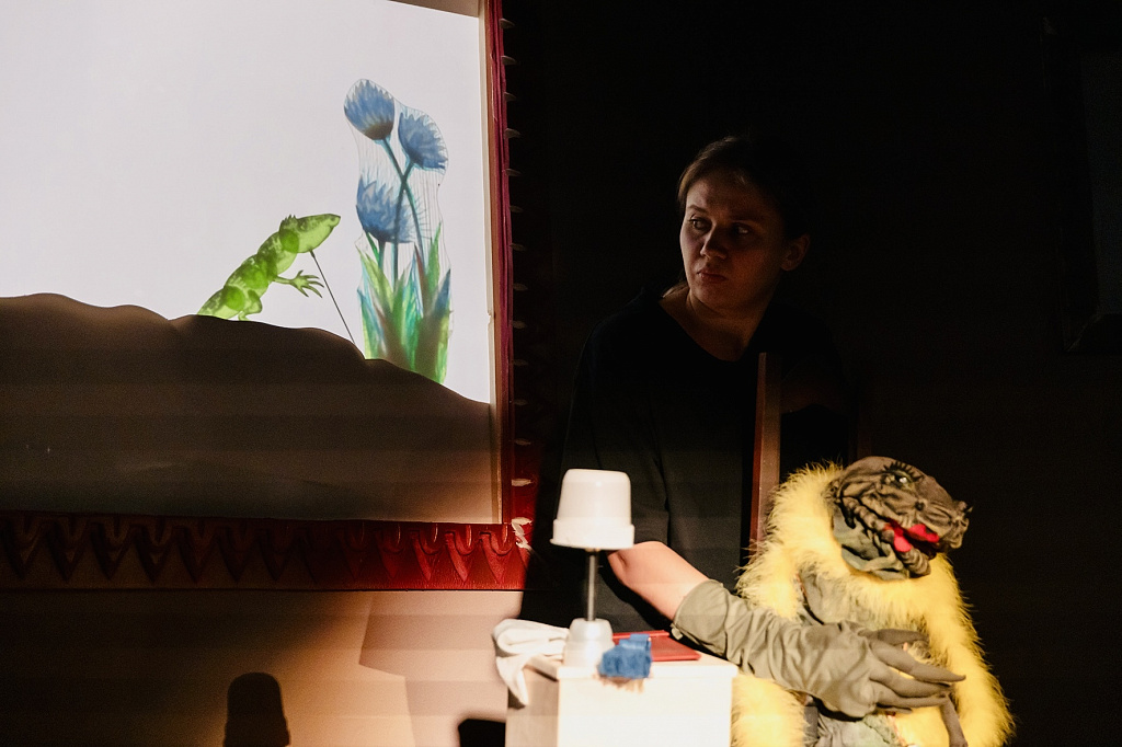 Всё, что вы хотели знать о ящерицах, но стеснялись спросить. Изображение 9