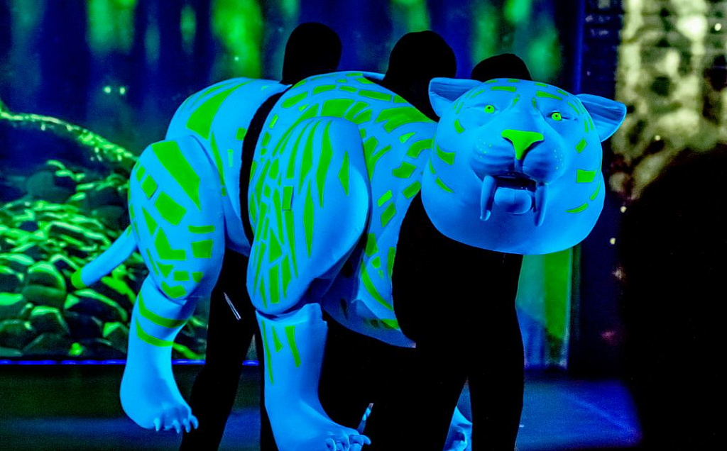 Волшебник Изумрудного города (ДТМЮА). Изображение 3