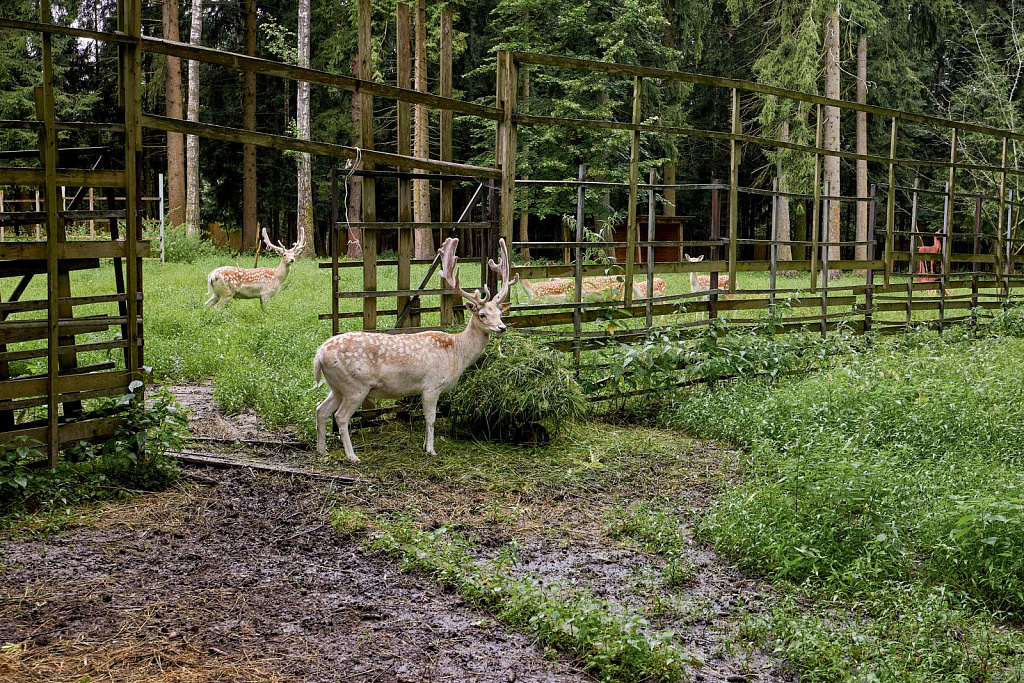 Экоцентр «Дом Лани». Изображение 7