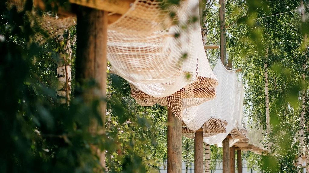 ЦЫПАрк. Изображение 3