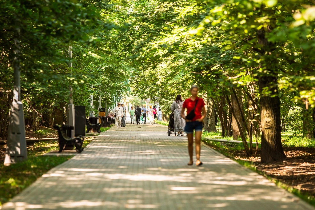 Воронцовский парк. Изображение 10