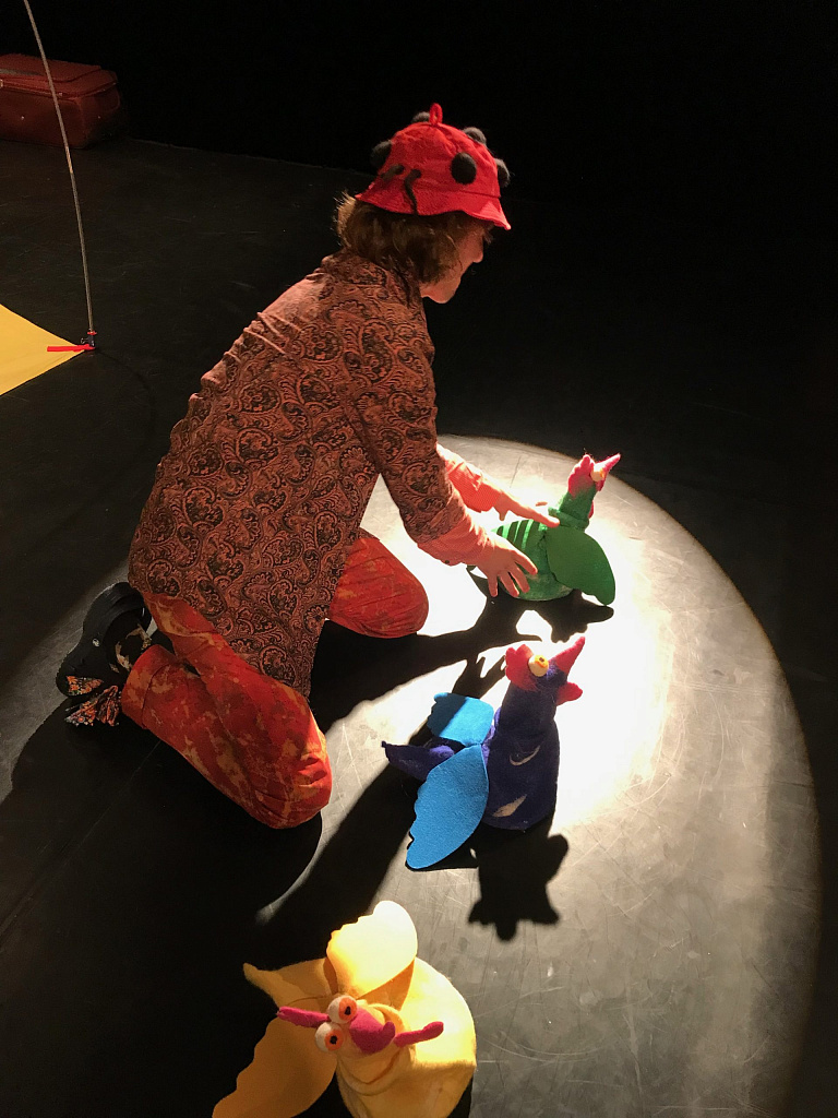 Гуси, гуси. Изображение 11