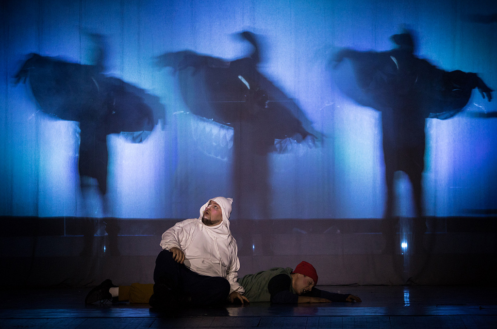 Путешествие Нильса с дикими гусями (МТК). Изображение 12