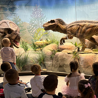 Наблюдаем и изучаем животных: в музеях, зоопарках и не только