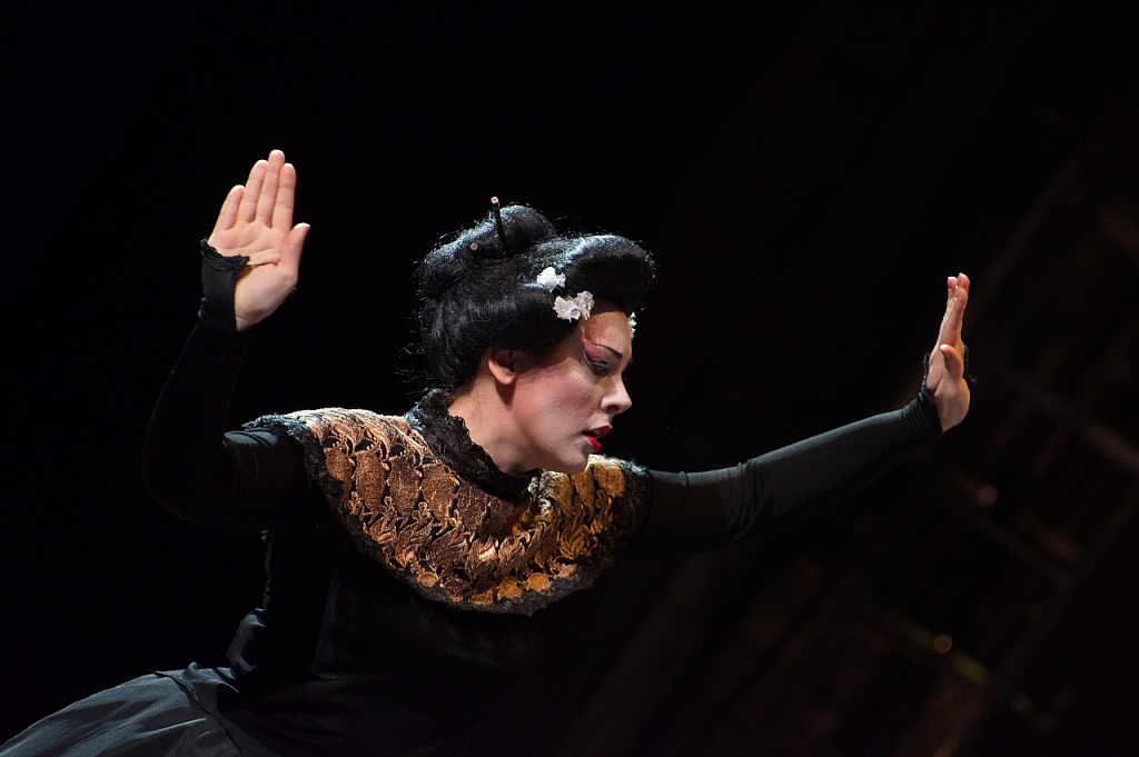 Мадам Баттерфляй. Изображение 1