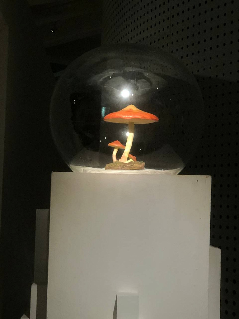 Русское невероятное. Изображение 8