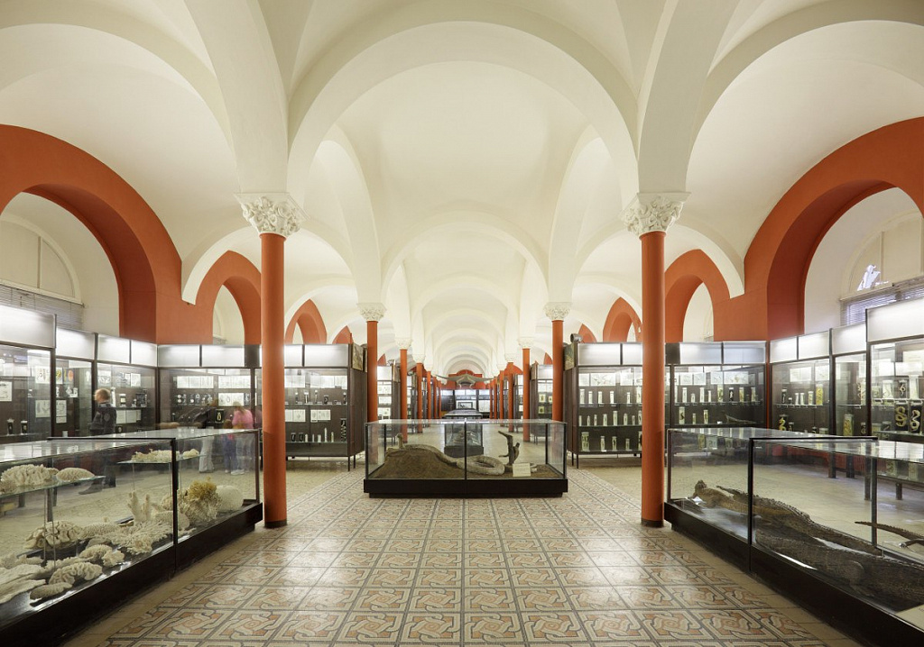 Интерактивные занятия в Зоологическом музее. Изображение 2