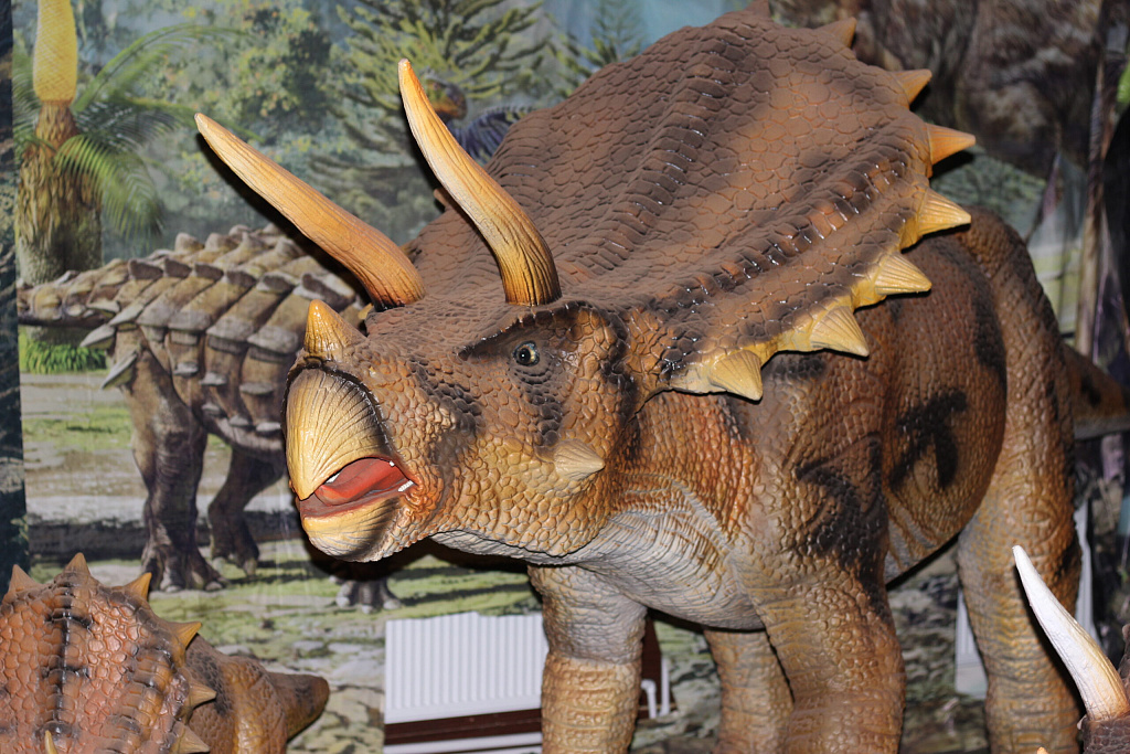 Динозавриум. Изображение 6