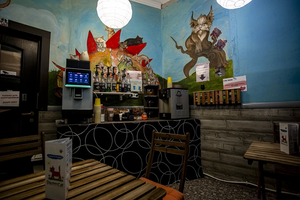 "Котофейня" на Маросейке. Изображение 7