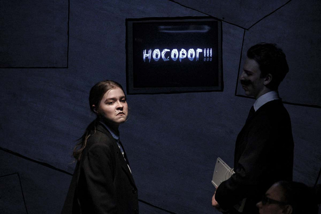 Носороги. Изображение 13