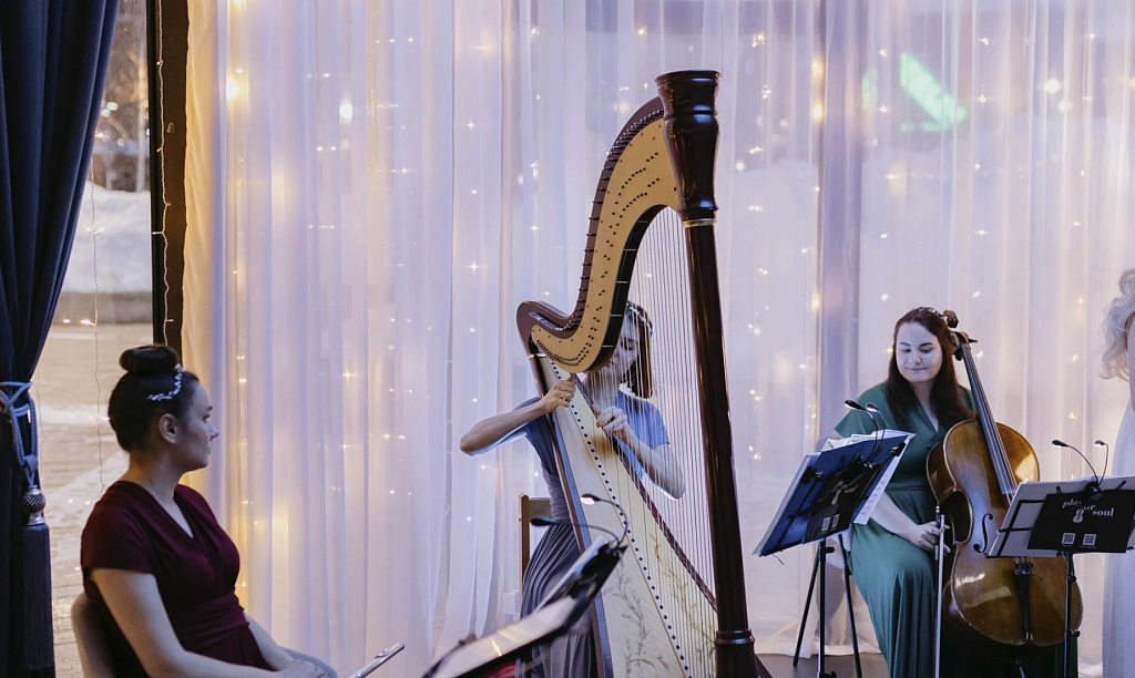 Арфа, флейта и виолончель. Изображение 4